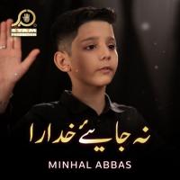 Na Jaiye Khudara Minhal Abbas Song Download Mp3