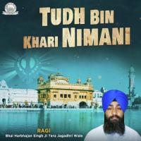 Mango Ram Te Ik Daan Bhai Harbhajan Singh Ji Tera Jagadhri Wale Song Download Mp3