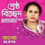 Bedin Bondhure Aleya Song Download Mp3