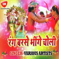 Balma Jala Ho Baiganwa Khet May Punam Kumari Song Download Mp3