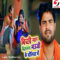 Bichhi Mar Dehlas Bhauji Ke Choliya Me Lado Madheshiya Song Download Mp3