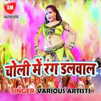 Holiya Chadhte Re Baap Vijay Singh Song Download Mp3