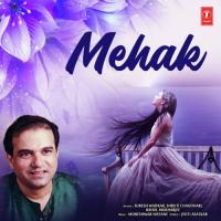 Umra Ki Dhalaan Par Shruti Chaudhari,Suresh Wadkar Song Download Mp3