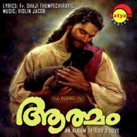 Maanaminnu Binoy Chacko,Vimmy Mariam Song Download Mp3