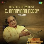 Kondagogu Chettu (From "Krishnavatharam") S. P. Balasubrahmanyam,P. Susheela Song Download Mp3