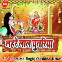 Jai Kara Jai Kara Shero Wali Ka Aryan Rock Bhardwaj Song Download Mp3