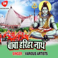 Chhori Jija Jai Bahari Dipak Mishra Song Download Mp3