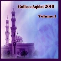 Madinay Ka Safar Hai Abdul Rafay Naqshbandi Shazli Song Download Mp3