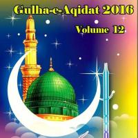 Ao Meray Nabi Ki Shan Suno Muhammad Sajjad Qadri Song Download Mp3