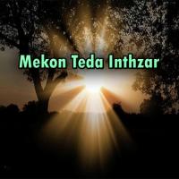 Mekon Teda Inthzar Meer Nadir Ali Song Download Mp3