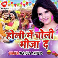 Holi Me Choli Fare Indu Sonali Song Download Mp3