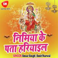 Ratiya Chhu Dihala Chhati Super Star Bijli Rani Song Download Mp3