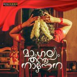 Ariyathen - Unplugged Joel Johns Song Download Mp3