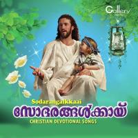 Nin Nilaviliyil Celine Shoji Song Download Mp3