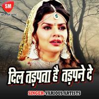 Dil Tarapta Hai Dil Tarpane De Anjali Bharti Song Download Mp3