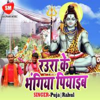 Hoi Tohara Beta Taru Rahul Song Download Mp3