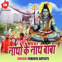 Yadav Ji Ke Kanwar Me Pawar Mile La Kalpana Song Download Mp3