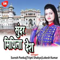 Pritam Gelan Tor Pardesh Lokesh Kumar Song Download Mp3