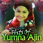 Dhal Rahi Hai Sham Yumna Ajin Song Download Mp3