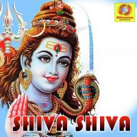 Shiva Shiva Regha Shailesh Song Download Mp3