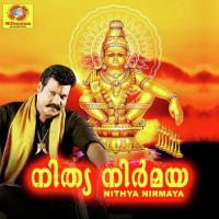 Nithya Nirmaya Kalabhavan Mani Song Download Mp3