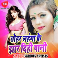 Tohar Lahanga Ke Jhar Dihi Pani Ho Rekha Ragini Song Download Mp3