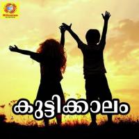 Kuttikalam Rabeesh Song Download Mp3