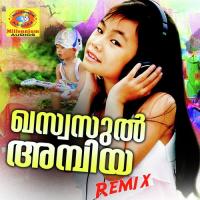 Sundarabavanam Farisa Kottakal Song Download Mp3