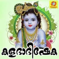 Neela Megha Syamudunna Divyadamam Ramesh Chandra Song Download Mp3