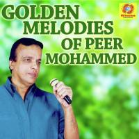 Manavaatti Malarmukham Peer Mohammed Song Download Mp3