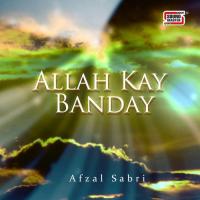 Ilahi Koi Aisa Afzal Sabri Song Download Mp3