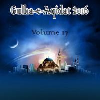 Amad-e-Sarkar Hai Mir Hamza Ali Mir Qadri Song Download Mp3