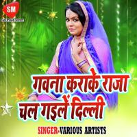 Gauna Kara Ke Raja Chal Gaila Dilli Dinesh Lal Song Download Mp3