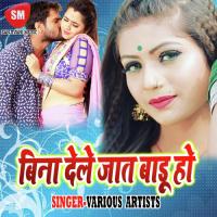 Bina Dele Ja Taru Ho Dipu Diwana Song Download Mp3