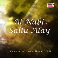 Sara Aalam Navaid Ali Song Download Mp3