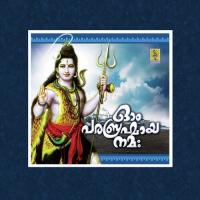 Nee Parabrahmayi Durga Viswanath Song Download Mp3