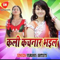 Hitwa Ke Didiya Khilad Tamatar Lal Yadav Song Download Mp3