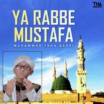 Ya Rabbe Mustafa Muhammad Taha Qadri Song Download Mp3