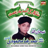 Lajpaal Nabi Mere Hafiz Muhammad Ahmed Raza Mehmoodi Qadri Song Download Mp3