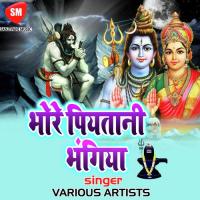 Ye Raniya Dhar Liyah Jalwa Amar Signh Song Download Mp3