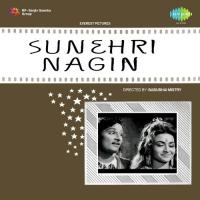 Tujhe Chand Kahoon Ya Phool Lata Mangeshkar,Mukesh Song Download Mp3