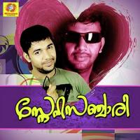 Snehichathu Saleem Kodathoor Song Download Mp3