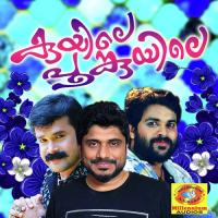 Mangalyappandalil Afsal Song Download Mp3