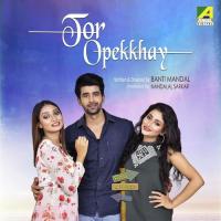 I Love You Sriparna Saha Roy Song Download Mp3