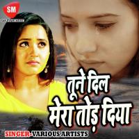 Tune Dil Mera Tor Diya Purnima Singh Song Download Mp3