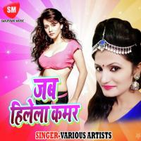 Meri Jahar Hai Jawani Pike Mar Jayega Sachin Singh Song Download Mp3