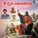 Nannu Kavaga Vachina (F) Nitya Santhoshini Song Download Mp3