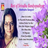 Amar Ja Achhe Sriradha Bandyopadhyay Song Download Mp3