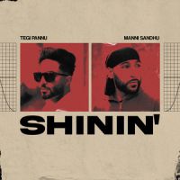 Shinin Tegi Pannu Song Download Mp3