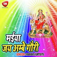 Baghwa Par Bani Ho Mai Sawari Dharmendra Chauhan Song Download Mp3